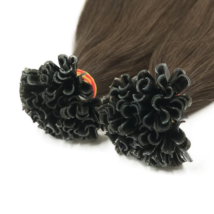 Double Drawn Cuticle Aligned Human Hair U Tip Hair Extension #2