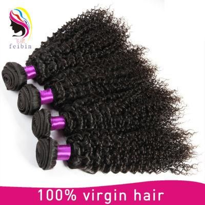 8A Grade 100% Human Double Drawn Virgin Brazilian Kinky Curly Hair Weave Bundles