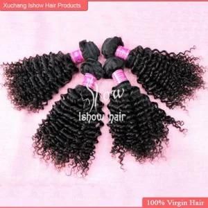 Brazilian Virgin Hair Kinky Curly 100% Unprocessed 5A Grade Virgin Human Hair Extension