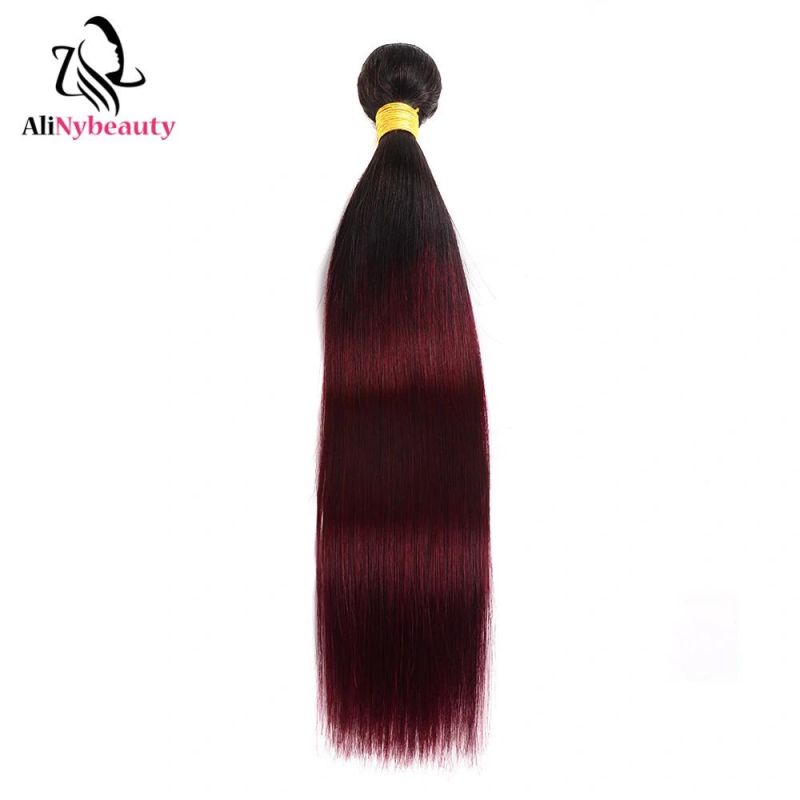 Ombre Brazilian Hair Straight 1b 99j Ombre Human Hair