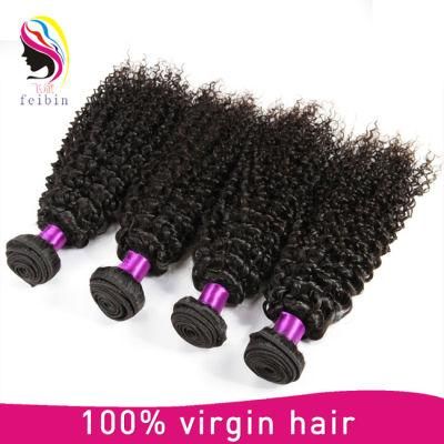 100% Human Brazilian Kinky Curly Hair Remy Hair E&sime; Tension