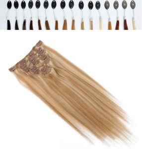Top Ten Silky Straight Clip in Remy Hair Extension