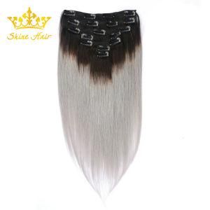 Wholesale Brazilian Virgin/Remy Human Hair Extension of Clip in Extension with Straight Hair