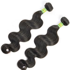 9A 100% Human Hair Weave Brazilian Virgin Remy Hair Extension Lbh 067