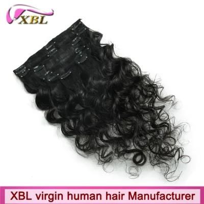 Clip in Hair Virgin Brazilian Human Hair Clip Hair Extension