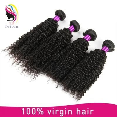 Brazilian Kinky Curly Hair Weaving Remy Hair Extension