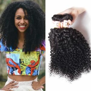 Beauty Forever Brazilian Jerry Curly Hair Weaving 3bundles