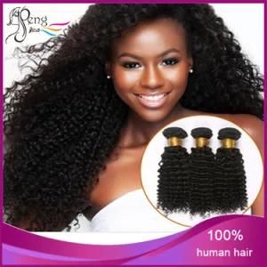100% Unprocessed Virgin Kinky Curly Human Hair