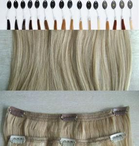 Wholesale Price Remy Clip in Hair Extension 220 Grams