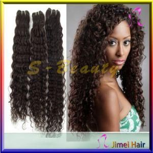 Virgin Human Afro Kinky Curly American Hair Extension