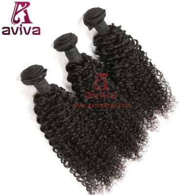 100% Top Quality Natural Indian Deep Kinky Curly Virgin Hair