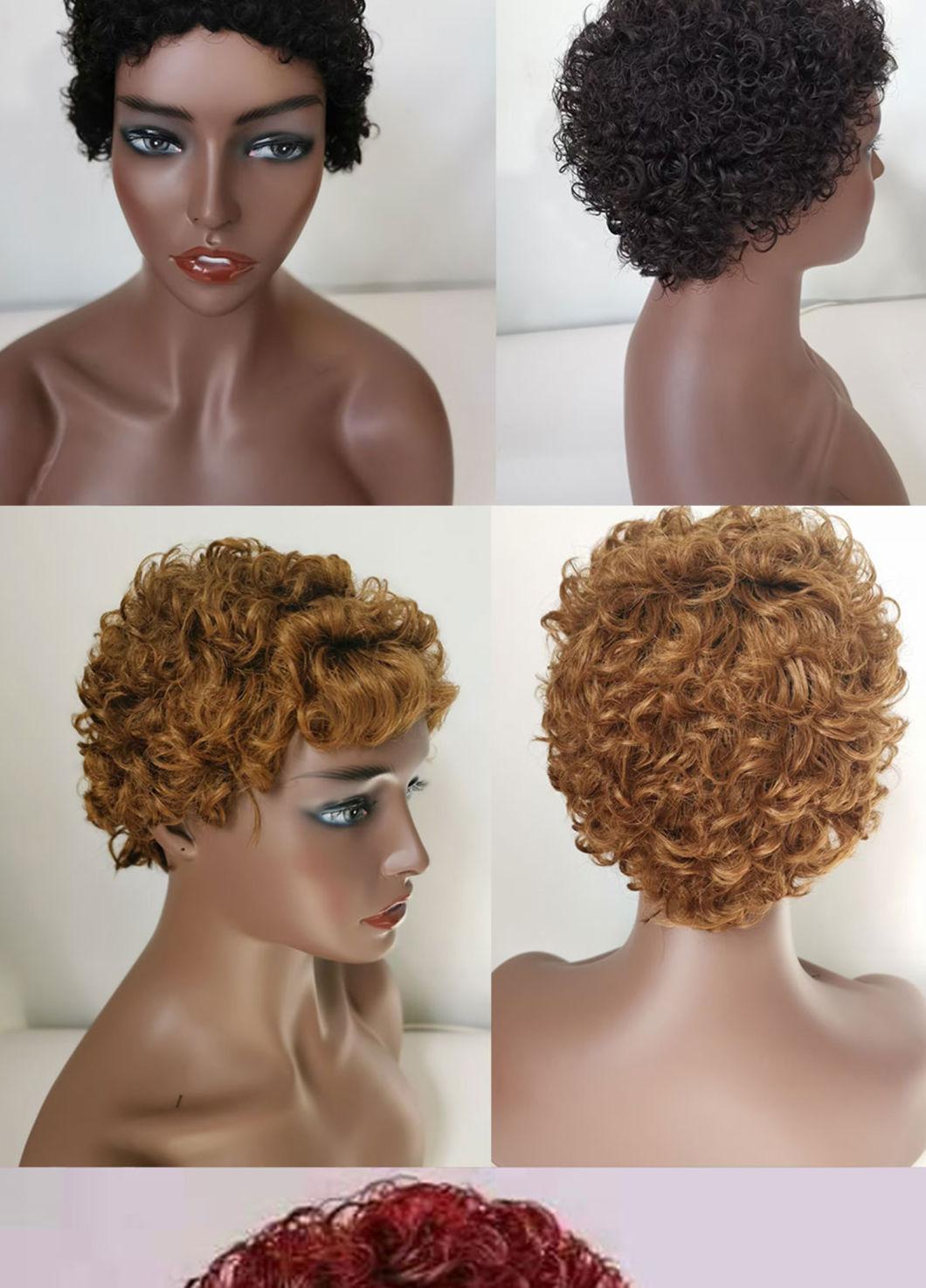 Curly Wig Human Hair Honey Blonde Human Hair Wigs Pixie Short Wigs Human Hair 150 Remy Brazilian Hair Wig