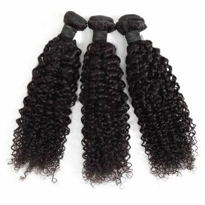 Mink Brazilian Human Hair Bundles Kinky Curly Hair for Black Women
