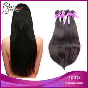 100% Human Hair Indian Silk Straight Virgin Hair Extension