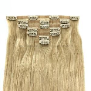 Wholesale Price Brazilian Natural Extension Collection Products Remy Clip on Hair