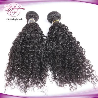 Curly Hair Human Weave Bundles Virgin Hair Extension