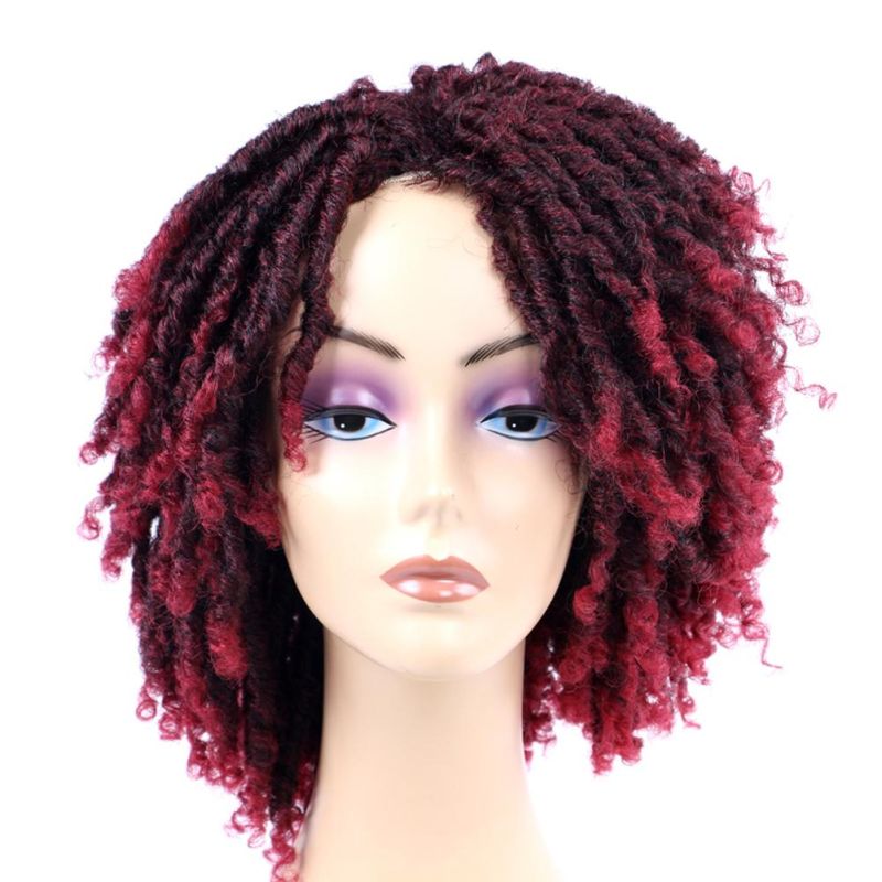 Fashion Roll Twist Ombre Dreadlock Braided Wig Short Curly Synthetic Hair Wigs for Black Afo Women Daily Natural Wigs