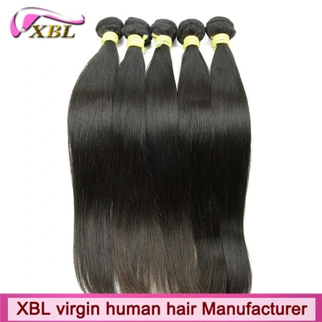 Xbl Brand Wholesale Indian Virgin Human Remy Hair
