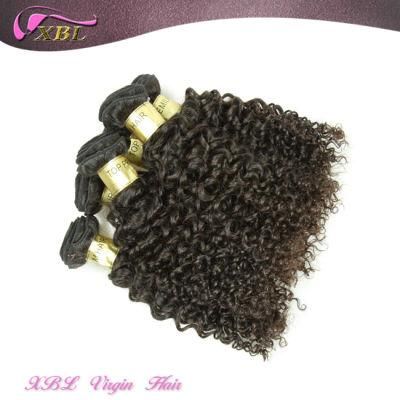 Virgin Indian Curly Human Hair Afro Kinky Hair Extensions