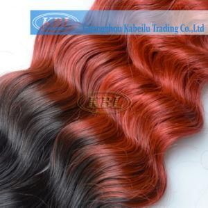 Brazilian Hair Product Two Tone Color Human Hair