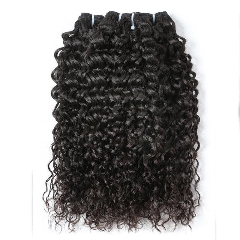 Deep Curly Hair Bundles 30, 32, 34 Inch Human Hair Brazilian Vigin Hair with Closure