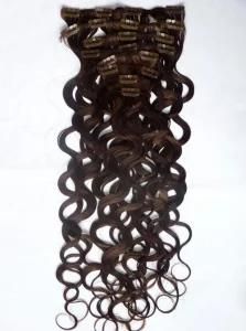 Hot Sale European Human Clip in Hair Extensions Curly Wavy Virgin Remy 6A