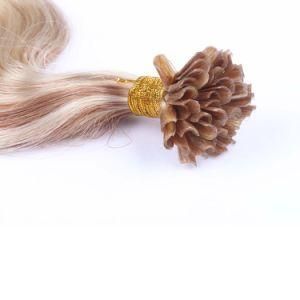 Ever Magic 27 613# Virgin Hair Human Hair U-Tip Hair Extension