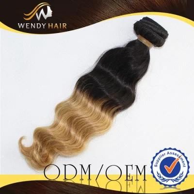 Hot Sale Double Drawn Two Tone Brazilian Hair