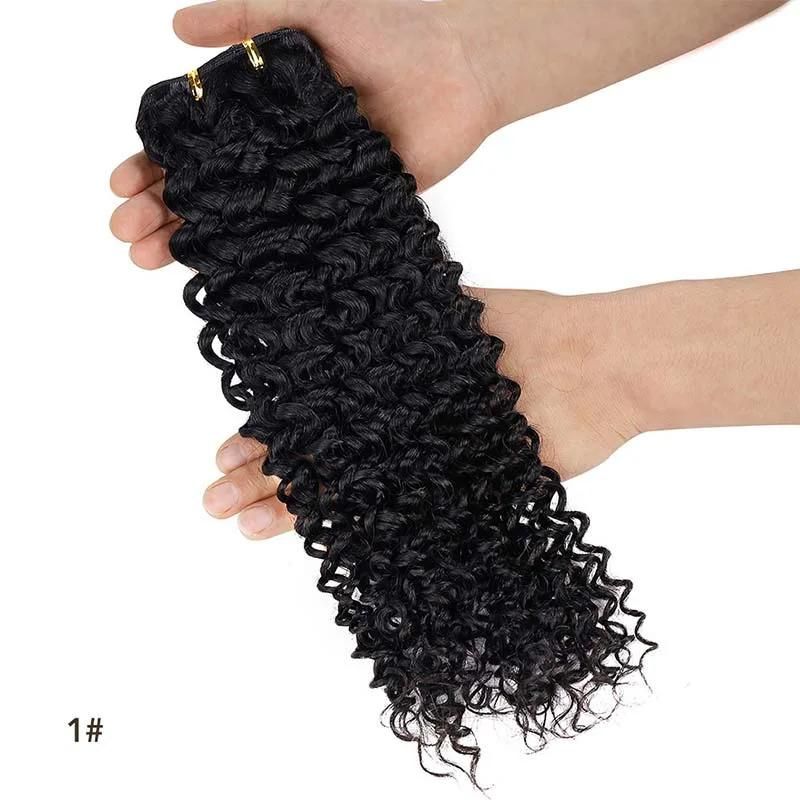 Remy Kinky Curly Colorful Human Hair Extensions 12-26′′
