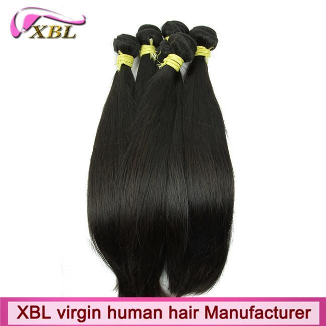 Luxury Silky Straight Virgin Brazilian Hair Bundles