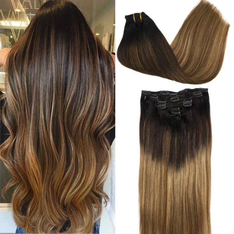 Clip in Brazilian Human Hair Extensions Full Head Remy Human Hair Straight Hair Extensions Multi Color 20 Inches