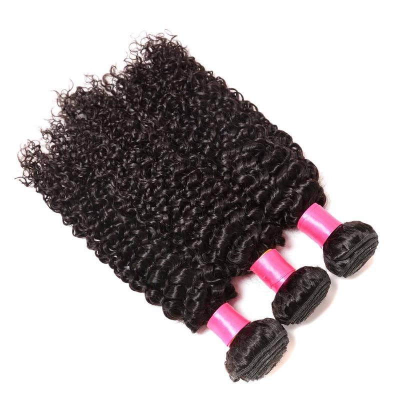 Kinky Curly Human Hair Weft Brazilian Hair Bundles with Closure and Frontal