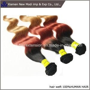 Indian Human Hair Weft Ombre Hair Weave