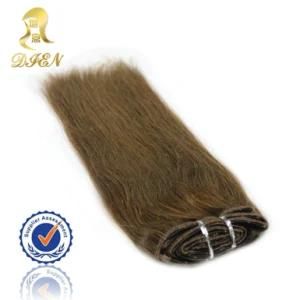 New Product Horse Hair Clip in Human Hair Extension