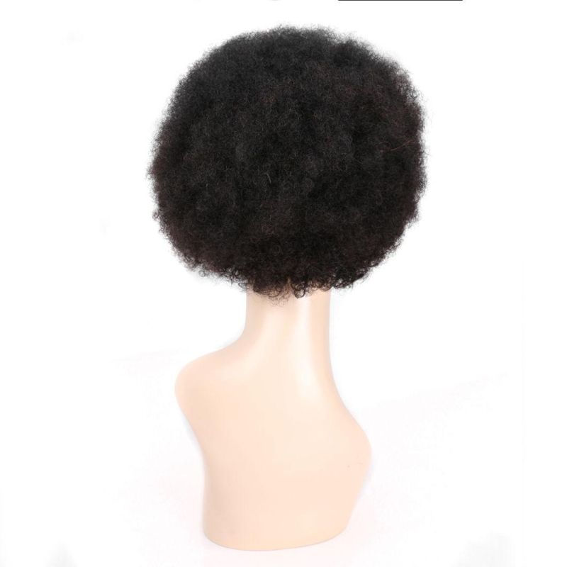 Fashion Short Curly Hair Indian Remy Human Hair Wig