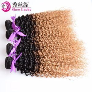 Wholesale 10A Mongolian Human Hair Ombre Colored Kinky Curly Remy Hair Weft