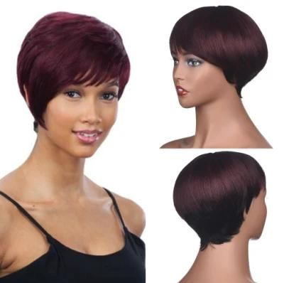 Short Straight Hair Wigbrazilian Remy Human Hair Wigs for Black Women Ombre Color 1b/99j