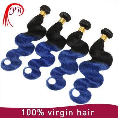 Brazilian Virgin Omber 100% Body Wave Human Remy Hair