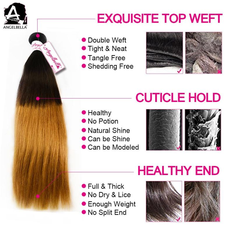 Angelbella New Styles Virgin Human Hair Weft Ombre Hair Bundles Weaving