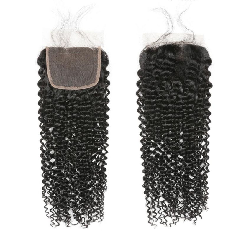 Alinybeauty Top Quality Indian Human Hair Closure