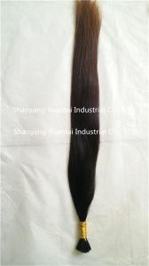 Grade 5A~8A Human Hair Bulk Extension (Chinese/ Indian/ Brazilian Virgin Human Hair)