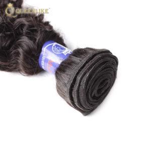 Cambodian Kinky Curly Virgin Human Wholesale Hair Weave