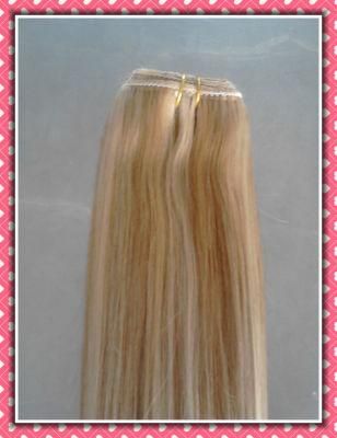 European Straight Human Remy Hair Clip in Extensions Hhci14p