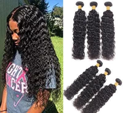 Brazilian Water Wave Human Hair Bundles Water Wave Hair Extension