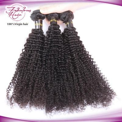 High Quality 100% Virgin Curly Human Hair Unprocessed Hair Weaves