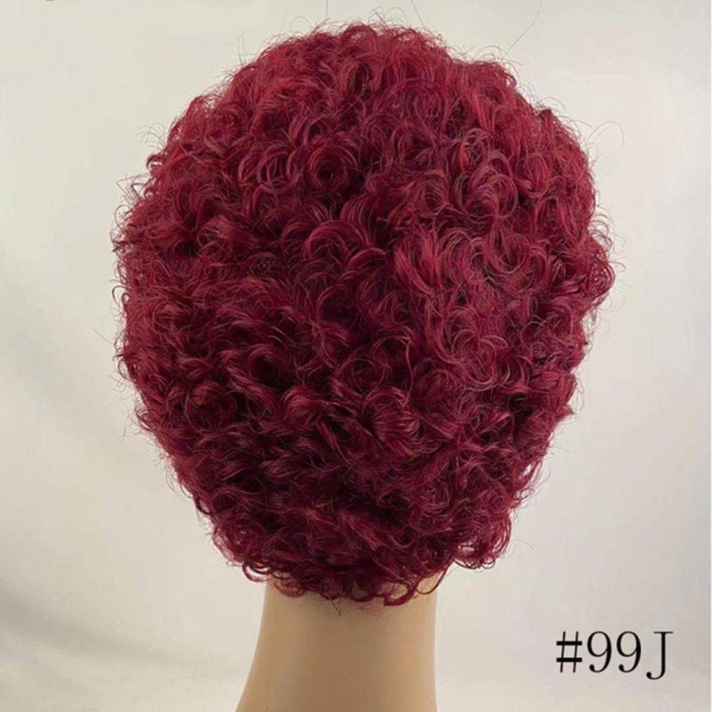 Curly Wig Human Hair Honey Blonde Human Hair Wigs Pixie Short Wigs Human Hair 150 Remy Brazilian Hair Wig