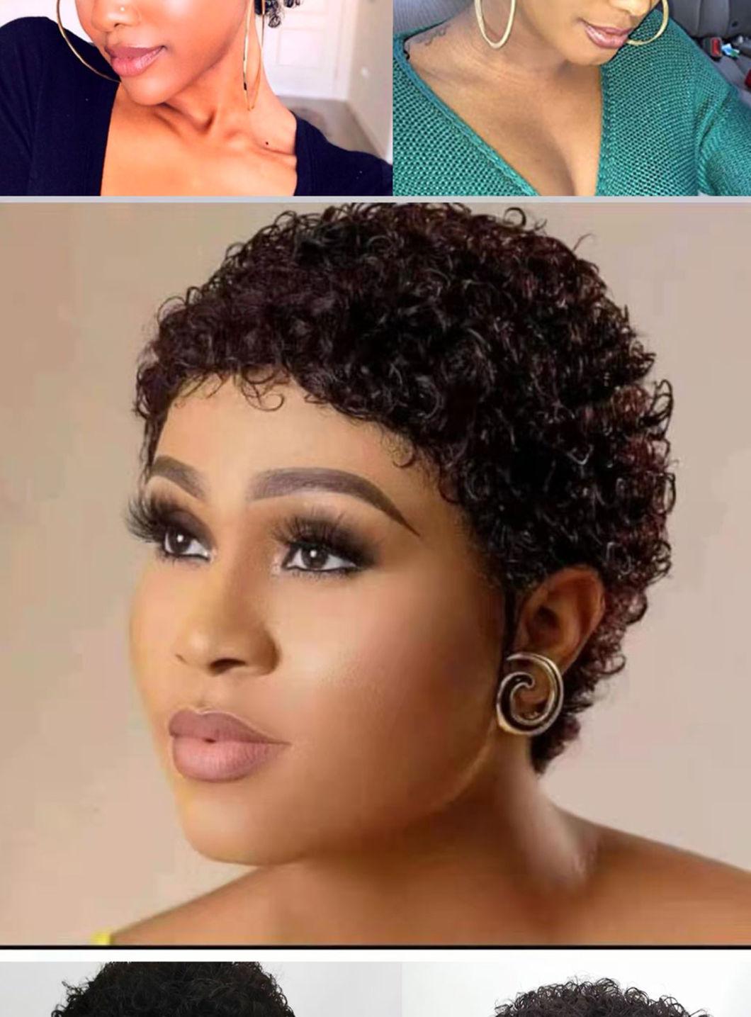 Curly Wig Human Hair Honey Blonde Human Hair Wigs Pixie Short Wigs Human Hair 150 Remy Brazilian Hair Wig