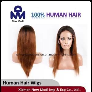 Brazilian Remy Human Two Color Full Lace Wig
