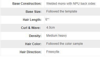 Custom Made Men′s Mono Lace Human Hair Wig