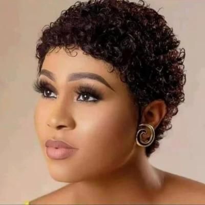 Short Human Hair Wig New Pixie Cut Machine Made Wig for Black Ladies Human Hair Pixie Curly Wig Wholesale